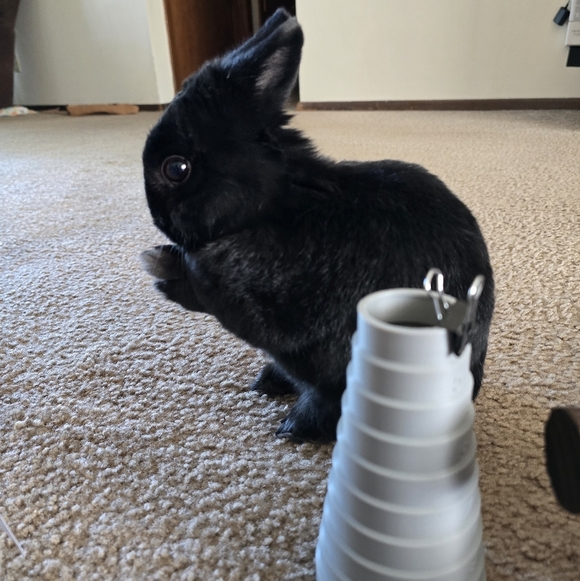 10mm Peridot Bracelet - Picture 7 of 7